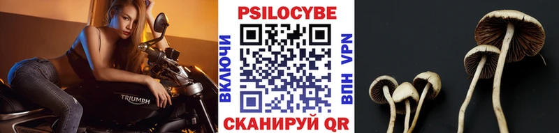 Псилоцибиновые грибы GOLDEN TEACHER  хочу наркоту  Семикаракорск 